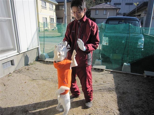f:id:yasukazu01:20121211102809j:image
