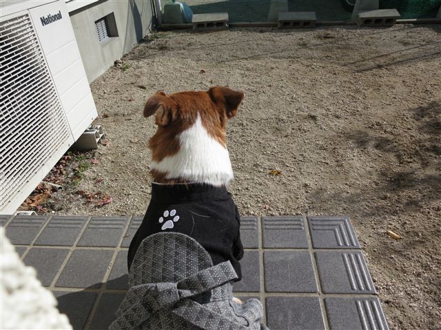 f:id:yasukazu01:20121211102901j:image
