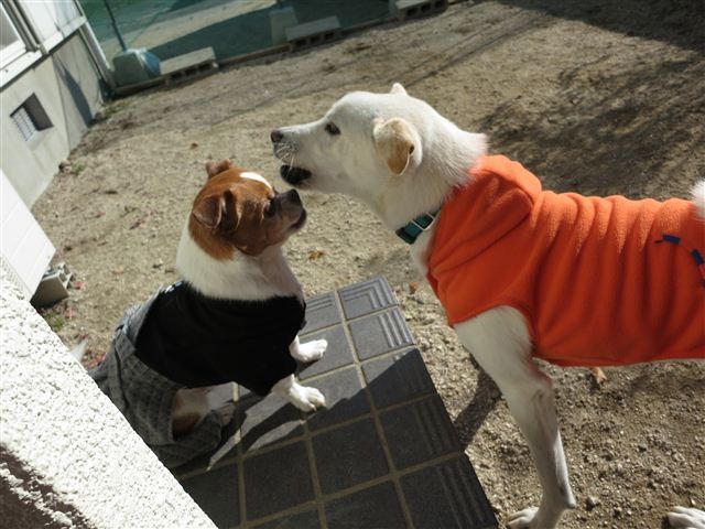 20121211103043