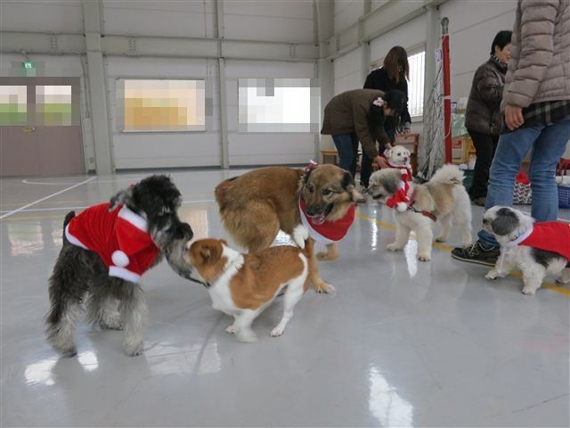 20121215102533