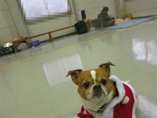 f:id:yasukazu01:20121215111846j:image