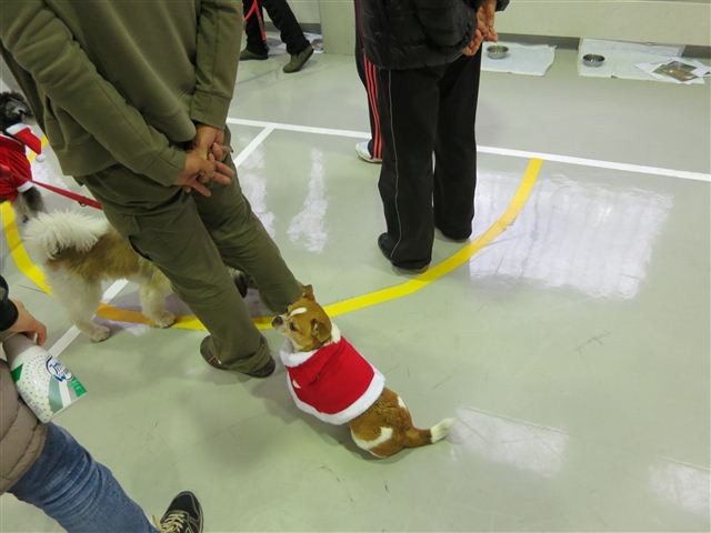 f:id:yasukazu01:20121215112124j:image