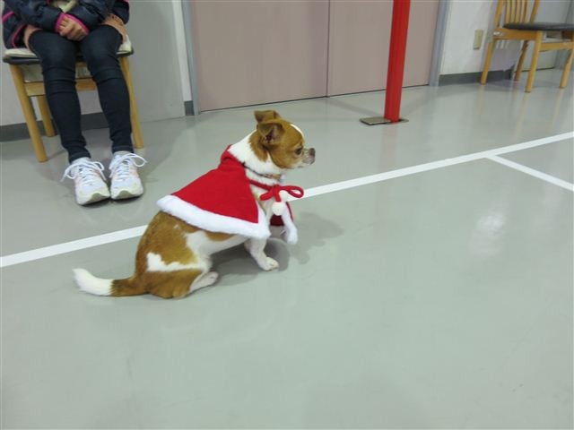 20121215112212