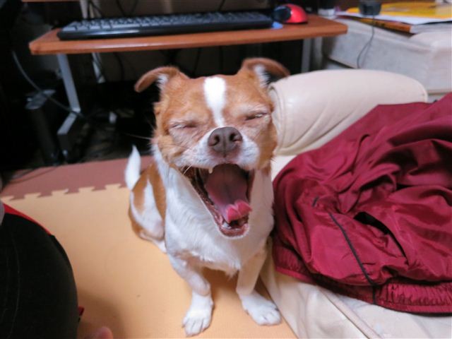 f:id:yasukazu01:20121215191606j:image