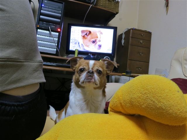 f:id:yasukazu01:20121215191655j:image