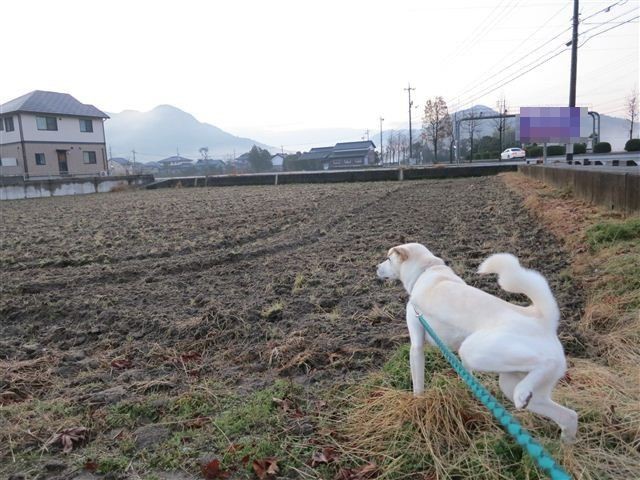 20121219070602
