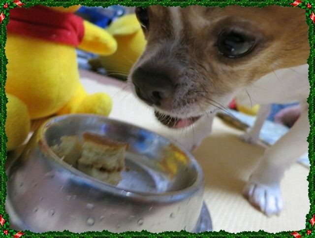 20121225210333