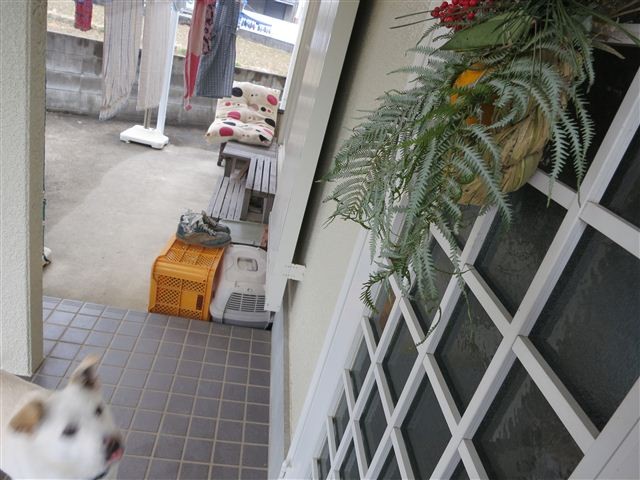 f:id:yasukazu01:20130101132758j:image
