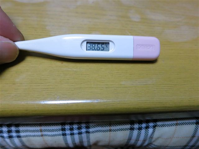 f:id:yasukazu01:20130102060616j:image