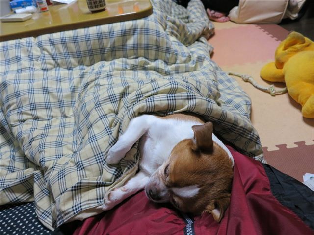20130102210734