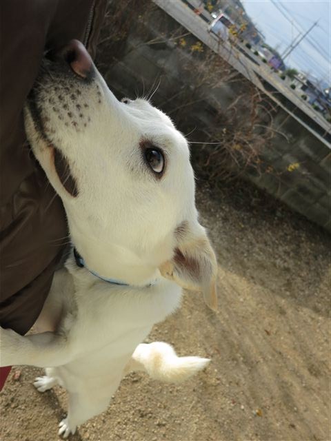 f:id:yasukazu01:20130104095138j:image