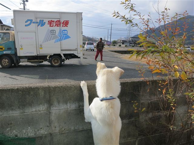 f:id:yasukazu01:20130104100616j:image f:id:yasukazu01:20130104100616j:image