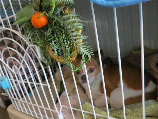 f:id:yasukazu01:20130104144546j:image