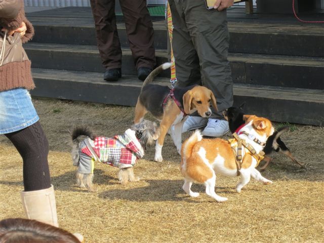 f:id:yasukazu01:20130106105740j:image