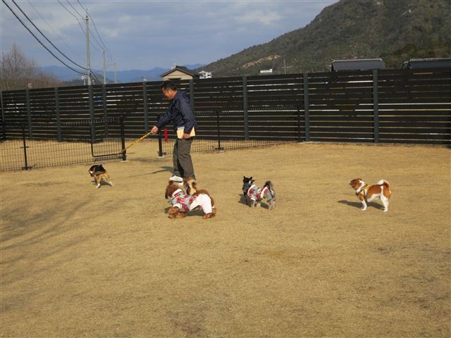 f:id:yasukazu01:20130106105836j:image