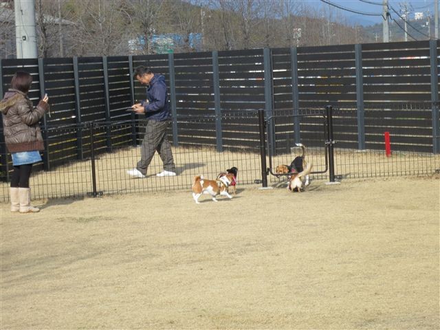 f:id:yasukazu01:20130106110122j:image
