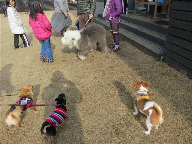 f:id:yasukazu01:20130106110805j:image