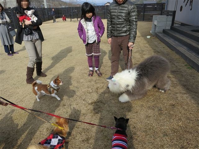 f:id:yasukazu01:20130106110904j:image
