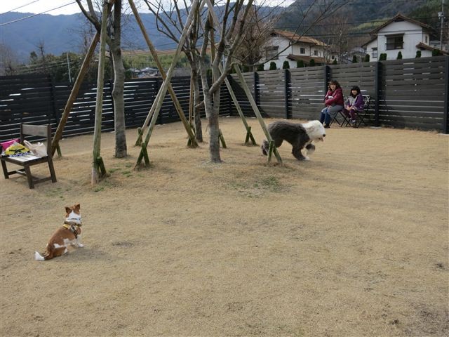 f:id:yasukazu01:20130106112337j:image