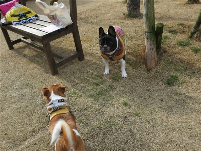 f:id:yasukazu01:20130106113103j:image