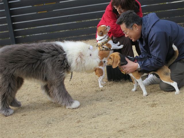 f:id:yasukazu01:20130106113859j:image