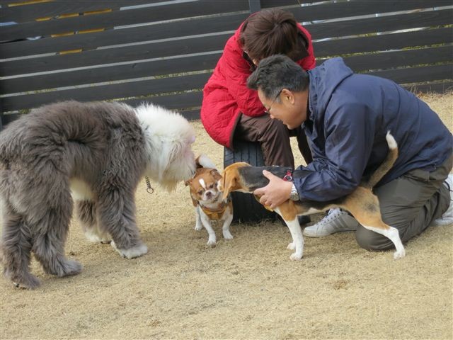 f:id:yasukazu01:20130106113904j:image