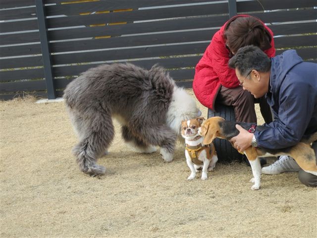 f:id:yasukazu01:20130106113908j:image