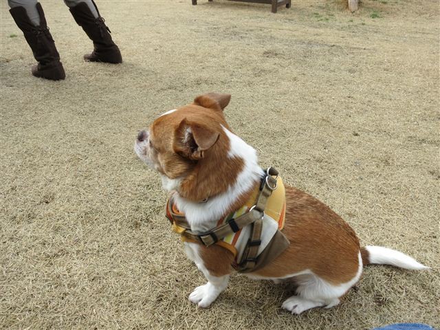 20130106114605