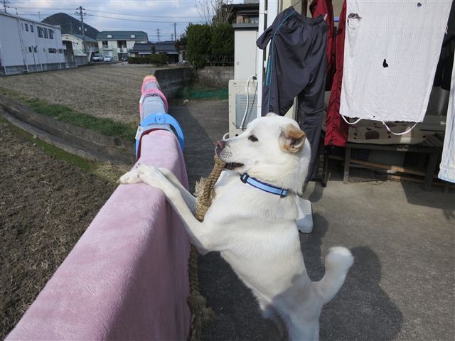 f:id:yasukazu01:20130106125038j:image