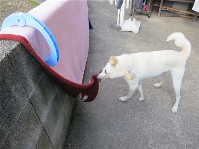 f:id:yasukazu01:20130106125155j:image