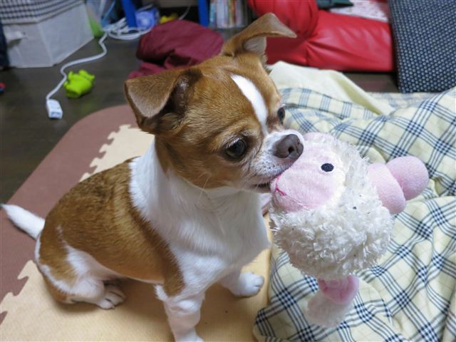f:id:yasukazu01:20130108192249j:image