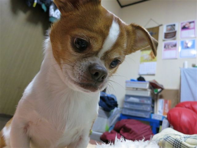 f:id:yasukazu01:20130108192314j:image