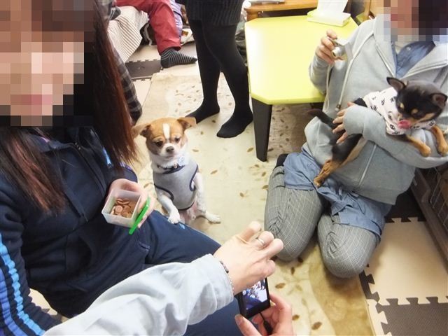 f:id:yasukazu01:20130114120413j:image