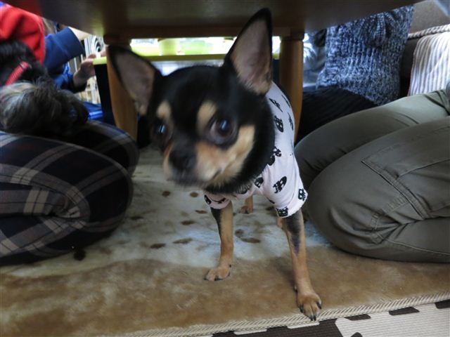 f:id:yasukazu01:20130114122047j:image
