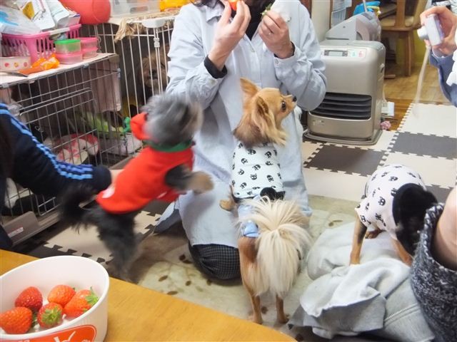 f:id:yasukazu01:20130114124933j:image