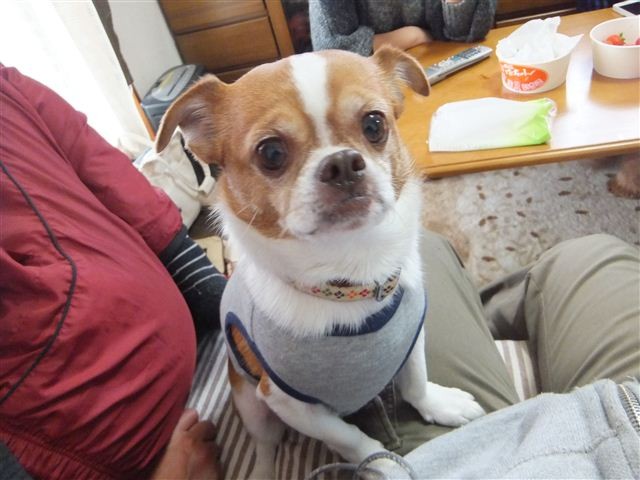 f:id:yasukazu01:20130114130359j:image