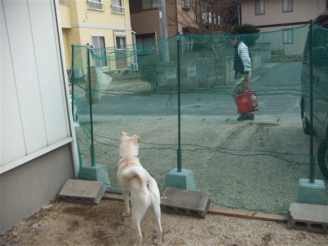 f:id:yasukazu01:20130115121339j:image