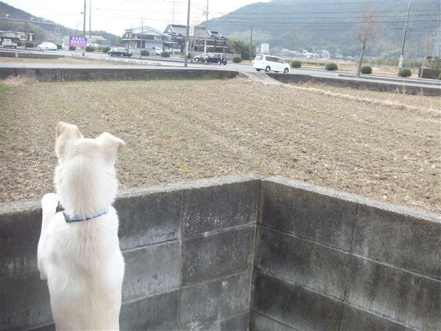 f:id:yasukazu01:20130115121447j:image