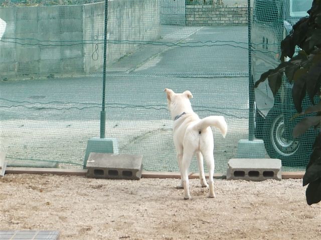 f:id:yasukazu01:20130115121515j:image