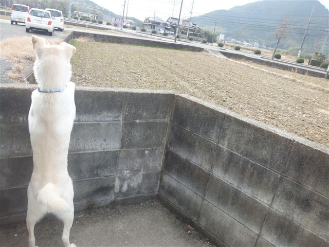 f:id:yasukazu01:20130115121618j:image