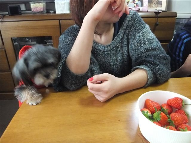 f:id:yasukazu01:20130115212723j:image