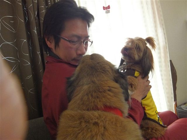 f:id:yasukazu01:20130115213450j:image