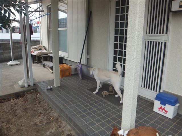 f:id:yasukazu01:20130117132452j:image