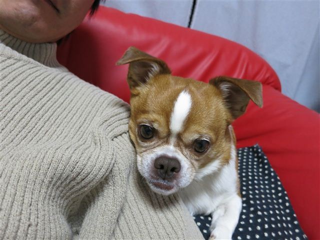 f:id:yasukazu01:20130117180041j:image