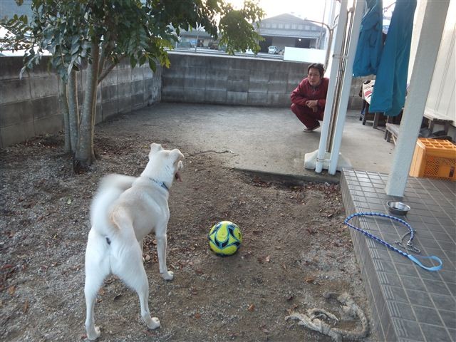 20130118165053