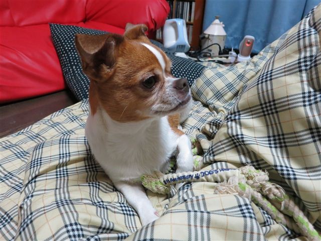 f:id:yasukazu01:20130118191700j:image