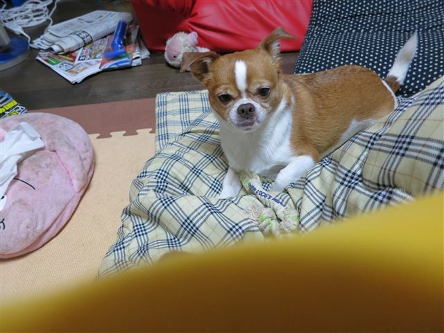 f:id:yasukazu01:20130118191719j:image