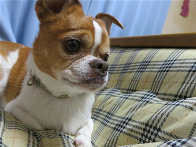 f:id:yasukazu01:20130122183252j:image