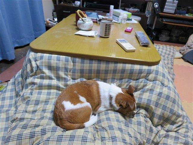 f:id:yasukazu01:20130122183307j:image