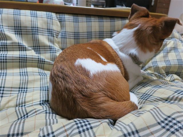 f:id:yasukazu01:20130122183329j:image